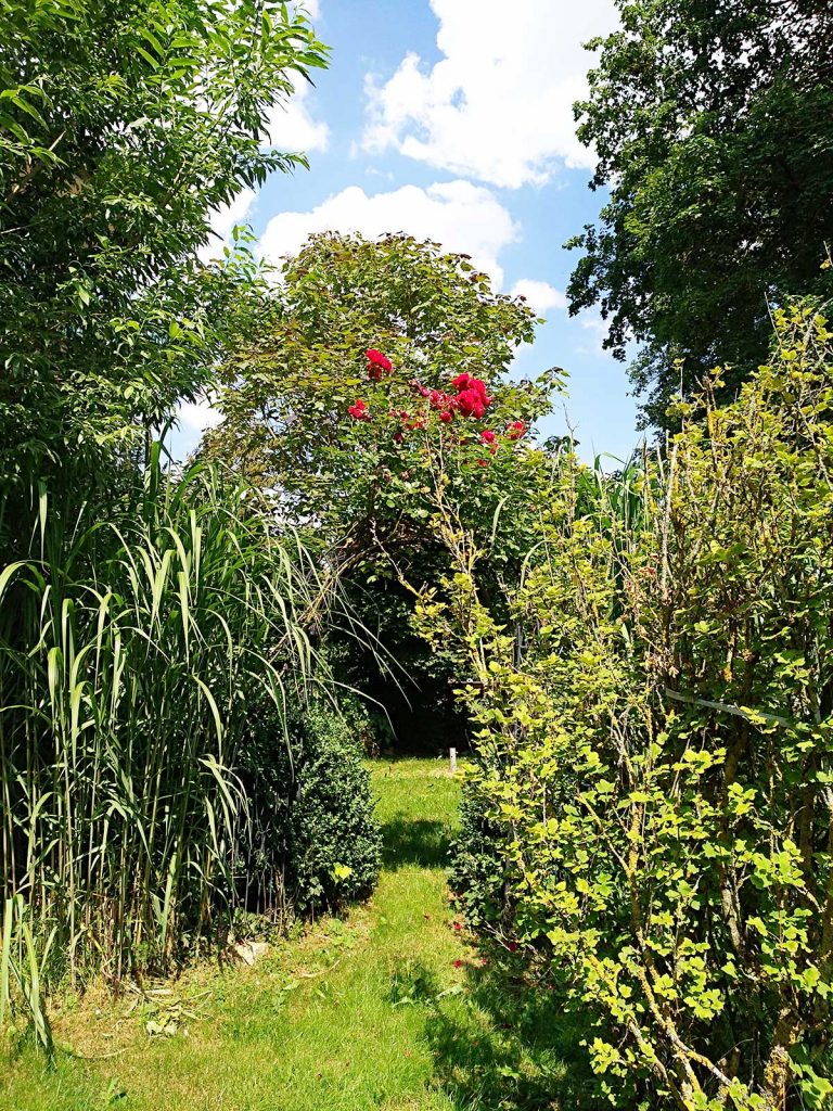 Landhaus-Fohlenhof-Blick-Garten
